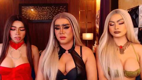 Paula online show from July 2026 01:47:02 PM