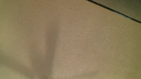 Snapshot of themormonman chatting on October 2025 03:51:02 AM Daisy and Tim online show from October 2025 03:51:02 AM