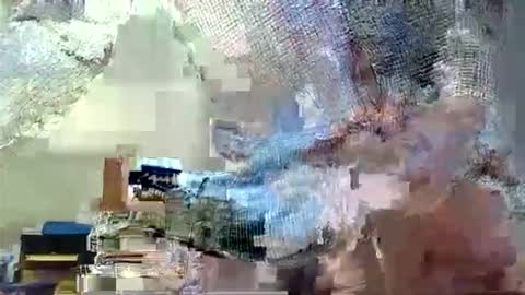 Snapshot of themouse6969 chatting on October 2025 04:40:02 PM themouse6969 online show from October 2025 04:40:02 PM