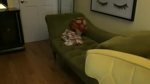 Snapshot of themrsnelson chatting on November 2025 08:36:02 AM Cach Nelson online show from November 2025 08:36:02 AM