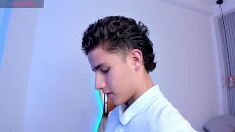 Snapshot of theohawke_ chatting on January 2025 08:22:01 PM THEO- MATEO online show from January 2025 08:22:01 PM