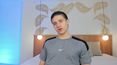 Snapshot of theohawke_ chatting on January 2025 01:31:01 PM THEO- MATEO online show from January 2025 01:31:01 PM