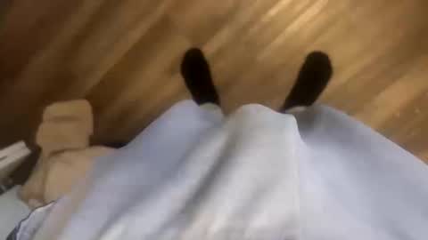 Snapshot of theplummer99 chatting on October 2025 01:53:02 PM theplummer99 online show from October 2025 01:53:02 PM