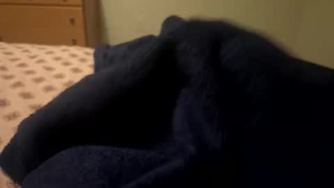 Snapshot of theplummer99 chatting on December 2025 09:29:01 AM theplummer99 online show from December 2025 09:29:01 AM