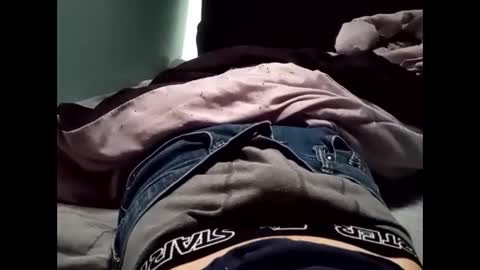 theturtleshead online show from January 2025 11:05:01 PM