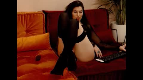 Snapshot of thevelvetcatwalk chatting on February 2026 04:18:02 AM Hi Im Belle Welcome to my room online show from February 2026 04:18:02 AM