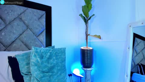 Snapshot of thiagoferrari1 chatting on December 2024 02:38:01 AM thiago online show from December 2024 02:38:01 AM