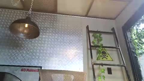 Thiago  online show from July 2026 11:52:01 AM