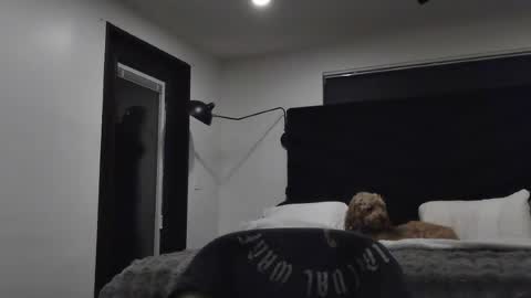 thiccbull12 online show from June 2026 07:58:01 AM