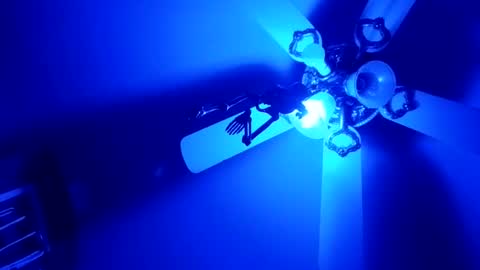 Snapshot of thickambr chatting on February 2026 12:21:01 PM Thickamber online show from February 2026 12:21:01 PM