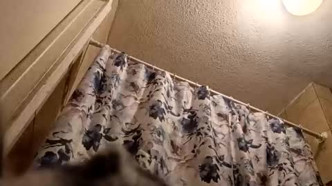 Snapshot of thickambr chatting on March 2026 10:53:02 AM Thickamber online show from March 2026 10:53:02 AM