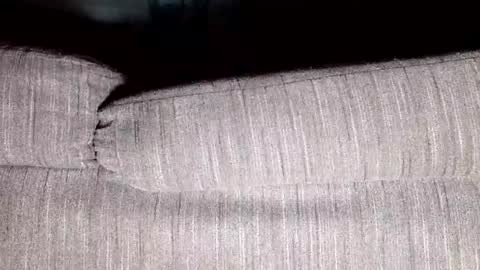 Snapshot of thirsty4itall chatting on January 2025 12:37:01 PM Thirsty4itall online show from January 2025 12:37:01 PM