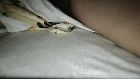 thisd1cc online show from July 2026 06:43:02 PM
