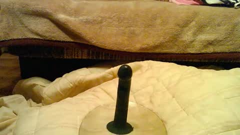 Snapshot of thongsandstockings chatting on December 2025 11:21:01 PM Thongsandstocking online show from December 2025 11:21:01 PM