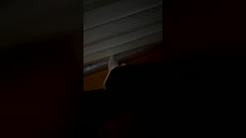 threeguys333 online show from July 2026 03:04:01 AM