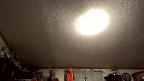 throbbing8585 online show from May 2026 05:36:02 AM