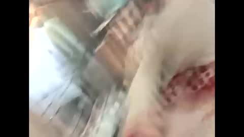 thunder8u42 online show from October 2025 12:37:01 PM