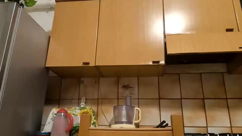 Snapshot of thunderflash73 chatting on November 2025 05:34:01 PM Little Wolf online show from November 2025 05:34:01 PM