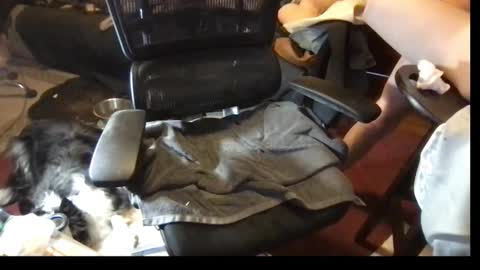 Snapshot of thundersword chatting on March 2025 07:09:02 PM thundersword online show from March 2025 07:09:02 PM