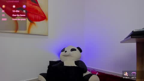 carolina online show from December 2024 12:19:01 AM