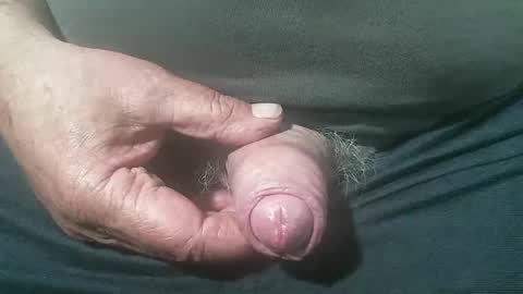 tiger1181 online show from September 2025 04:34:02 AM