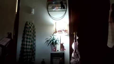 tigerlily online show from November 2025 04:51:02 PM