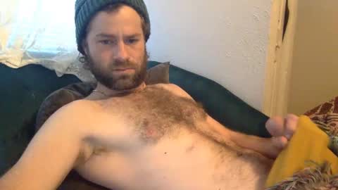 tigerzaddy online show from December 2024 02:41:02 PM
