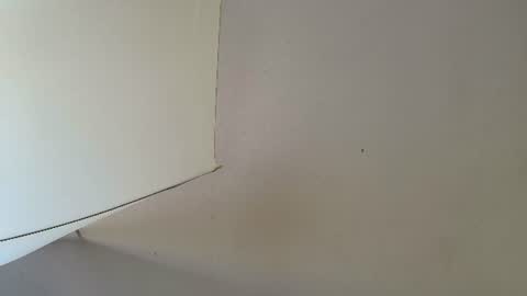 tiianascott online show from July 2026 11:52:01 AM