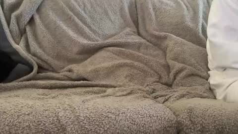 Snapshot of tiltedsombrero chatting on February 2026 09:47:02 PM Juicy Tafutti online show from February 2026 09:47:02 PM