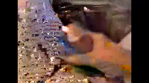 timberlandes1 online show from May 2026 09:12:01 PM