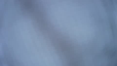 Tim Grower online show from May 2026 07:08:01 PM
