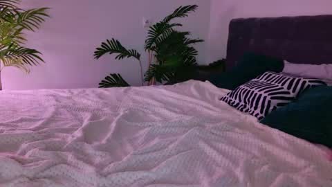 tinasiner online show from June 2026 02:33:01 PM