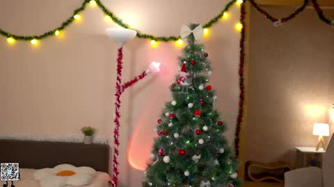 Snapshot of tiny_miracle chatting on December 2024 04:54:01 PM Lyssa online show from December 2024 04:54:01 PM