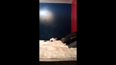 tinycock74478 online show from March 2026 10:03:02 PM