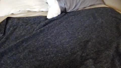 tinywithtiddies online show from April 2026 04:04:02 AM