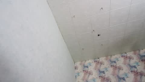 Snapshot of tits_your_dreams chatting on December 2024 05:04:01 AM tits_your_dreams online show from December 2024 05:04:01 AM