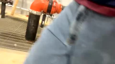 tittyzandbeer online show from January 2025 01:30:02 PM