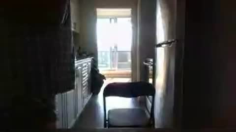 tj526316275 online show from July 2026 09:17:01 PM