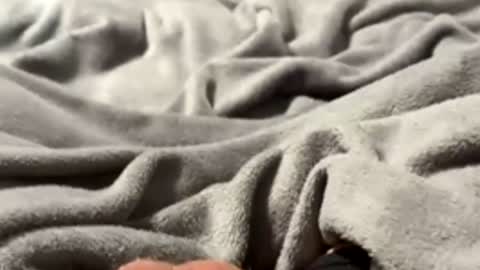 Snapshot of tmue chatting on February 2026 01:33:02 PM tmue online show from February 2026 01:33:02 PM