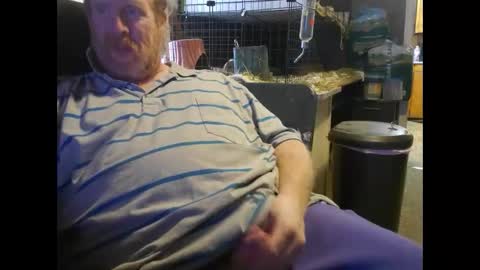 to_boldly_go online show from December 2024 07:56:01 PM