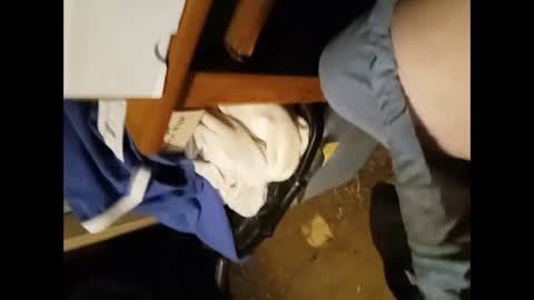 to_boldly_go online show from September 2025 11:17:02 PM