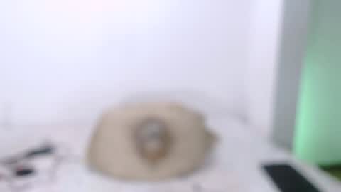 Snapshot of toadboys chatting on January 2025 08:57:02 AM David online show from January 2025 08:57:02 AM