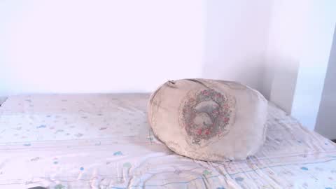 Snapshot of toadboys chatting on February 2025 12:05:02 PM David online show from February 2025 12:05:02 PM