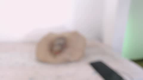 Snapshot of toadboys chatting on February 2025 09:07:02 PM David online show from February 2025 09:07:02 PM