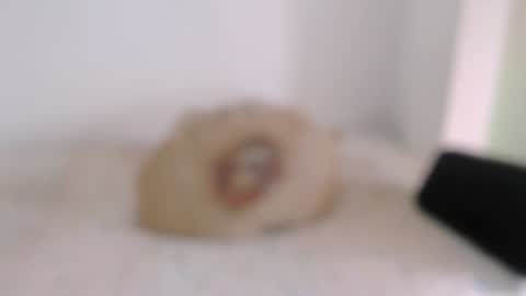 Snapshot of toadboys chatting on February 2025 03:52:01 PM David online show from February 2025 03:52:01 PM