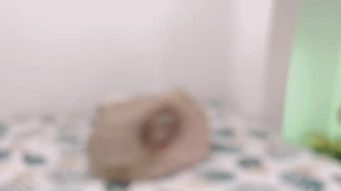 Snapshot of toadboys chatting on February 2025 11:36:01 AM David online show from February 2025 11:36:01 AM