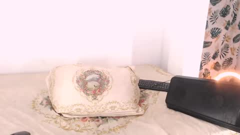 Snapshot of toadboys chatting on February 2025 11:48:02 PM David online show from February 2025 11:48:02 PM