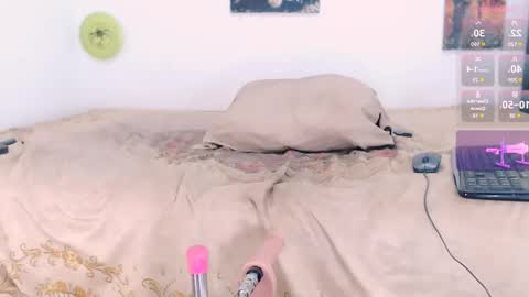 Snapshot of toadboys chatting on September 2025 08:27:01 AM David online show from September 2025 08:27:01 AM