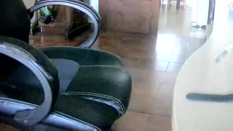 Tobiko online show from December 2024 01:28:01 PM