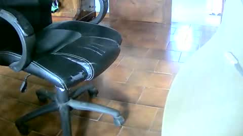 Snapshot of tobikoyuzu chatting on December 2025 02:24:02 PM Tobiko online show from December 2025 02:24:02 PM